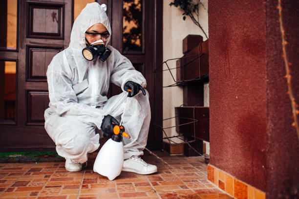 Reliable Cockroach Control contractor in Varnville, SC by Nex Pest Control